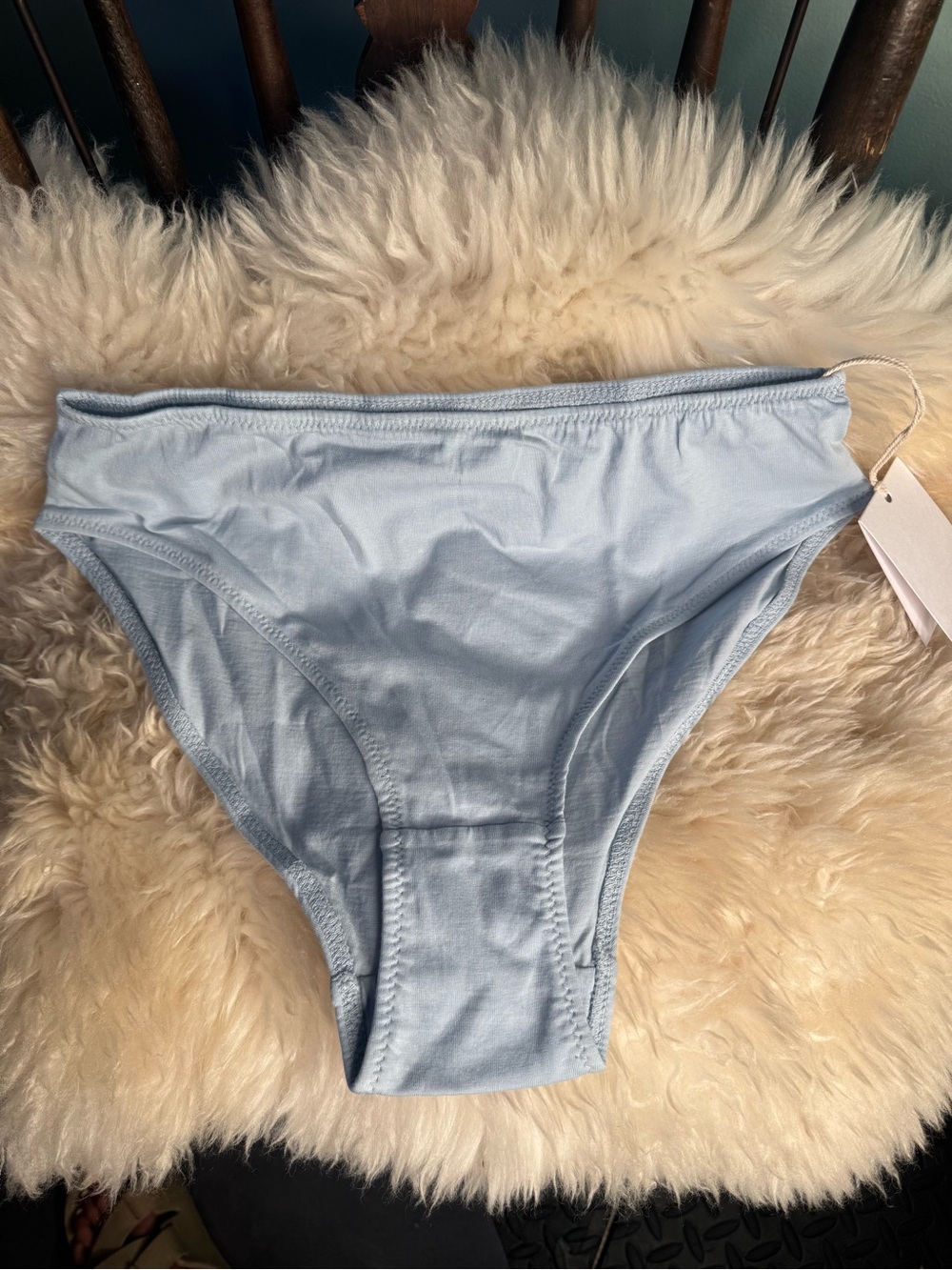 KENT: Light Blue High Waisted Briefs